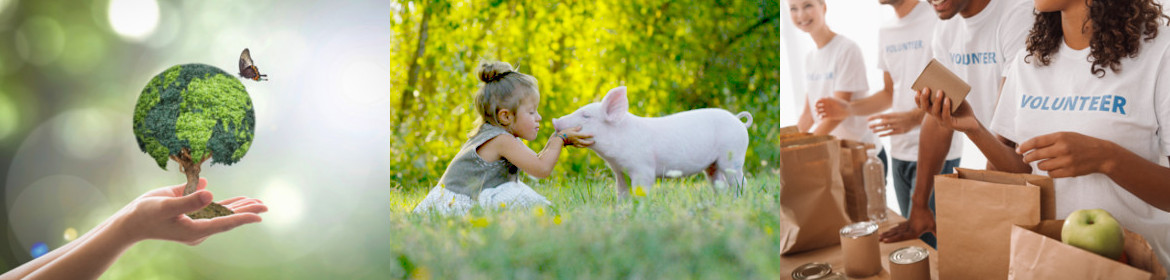 Beim Firmenverkauf und Immobilienverkauf spendet INNOVERTA aus Memmingen aus jedem Verkauf einen Teil fuer regionale Sozialprojekte.